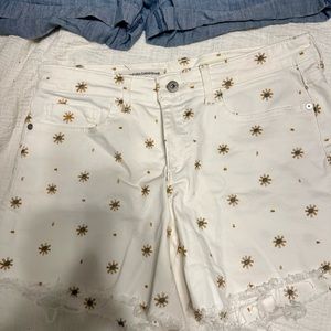 Anthropology Size 28 Slim Boyfriend Unique Shorts! Frayed Hem, Like new